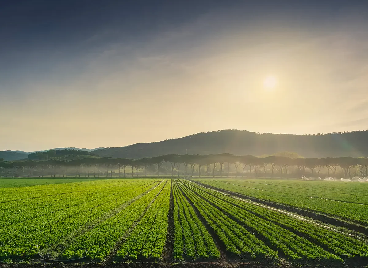 Agriculture